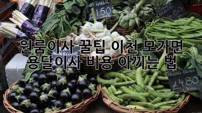 원룸이사 꿀팁🍯 이천 모가면 용달이사 비용 아끼는 법