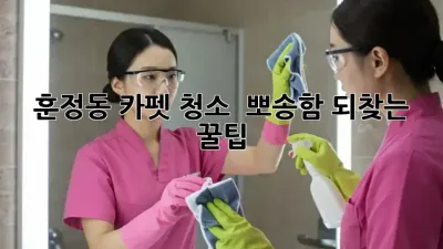 🧺 훈정동 카펫 청소 ✨ 뽀송함 되찾는 꿀팁!